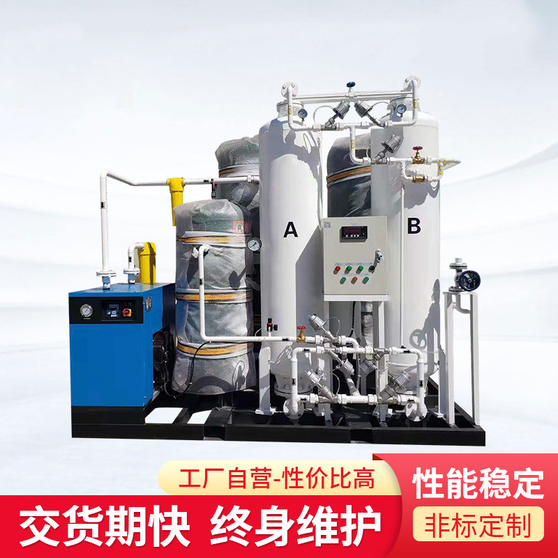 99.99%PSA變壓吸附制氮設(shè)備 - 專業(yè)制氮機廠家直銷，支持定制